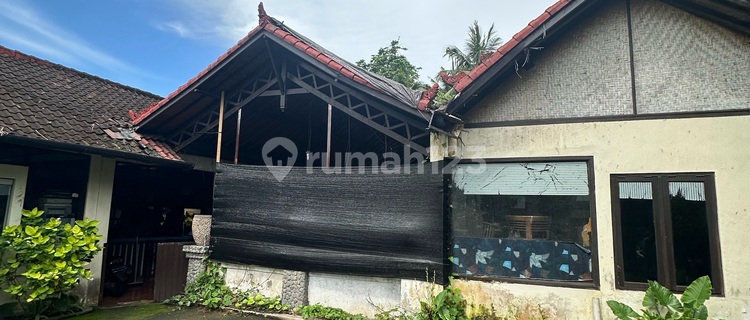 Resto Central Ubud Harga Termurah Tanah Luas Min 5 Th Sewa  1
