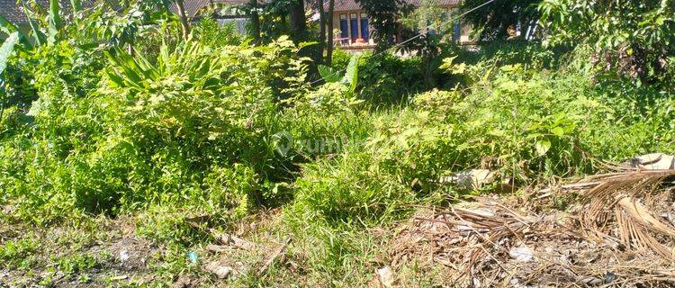 Tanah Sewa Ukuran Kecil Cocok Untuk Vila Rental  1
