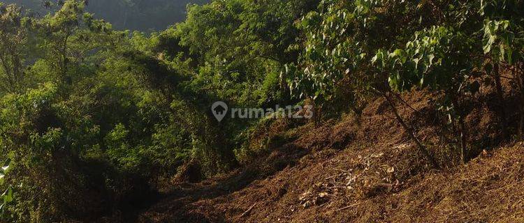 LAND IN LOS SUNGAI FOREST SUITABLE FOR VILLA OR HOTEL 1