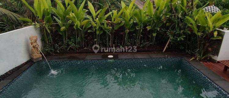Villa Baru Jadi Siap Huni View Sawah Dan Sungai Lingkungan Nyaman 1