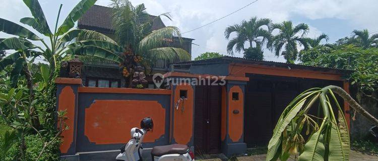 Villa 4 Kamar Harga Murah Di Ubud Siap Huni  1