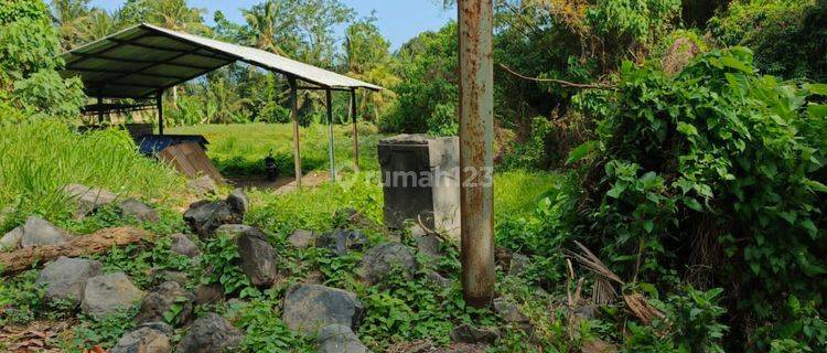 Tanah View Gunung Agung Harga Murah Cocok Investasi 1