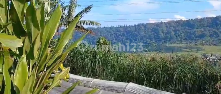 Tanah View Danau Buyan Cantik Cocok Bisnis Villa 1