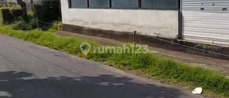 Affordable Rental Shop in Lodtunduh Ubud Ready to Use 1