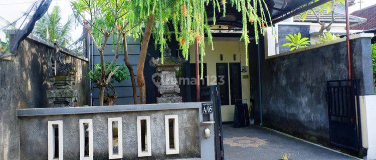 Rumah Sewa Murah Siap Huni Dekat Denpasar Sanur Dan Ubud 1