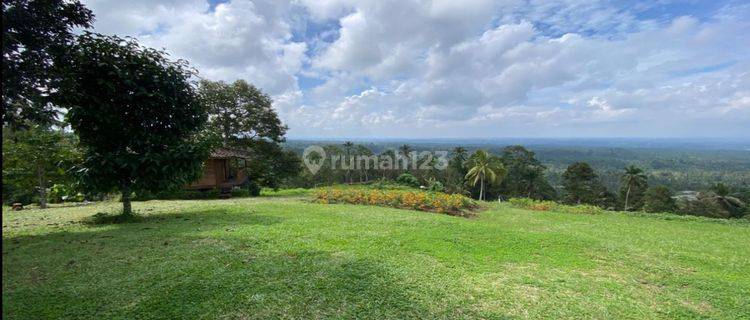 Tanah Murah View Laut Gunung Sawah Dan Hutan Keren 1