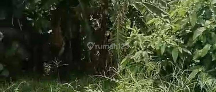Tanah Sewa View Bagus Siap Bangun Harga Murah  1