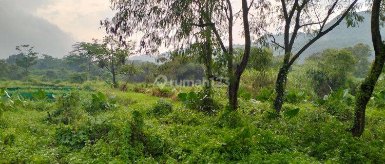 Dijual Tanah di Kembang Kuning Klapanunggal Zona Industri 3 Hektar dyt  1