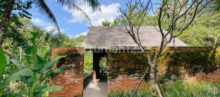 Villa Ubud View Jungle & River Alami 1
