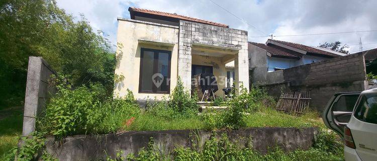 Rumah Dekat Lovina Singaraja 1