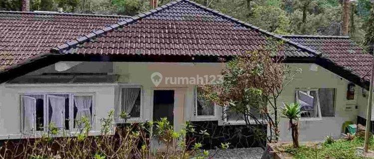 Villa cantik dalam komplek villa di megamendung puncak bogor 1