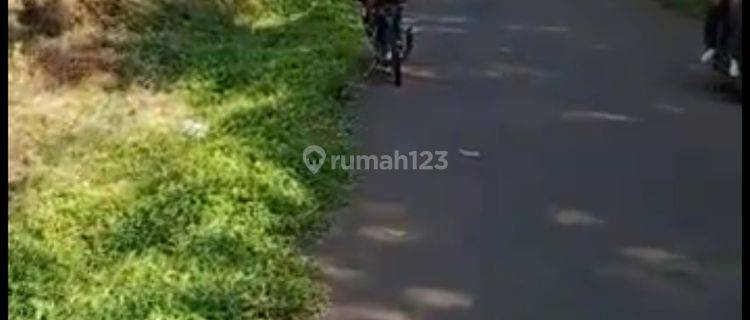 Di jual tanah cocok untuk berkebun di Cileles Lebak Banten 1