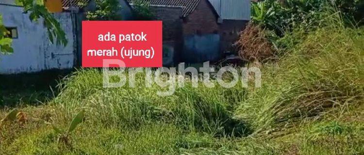 Tanah kavling (masuk gang) strategis dekat kota & perumahanSIDODADI 1