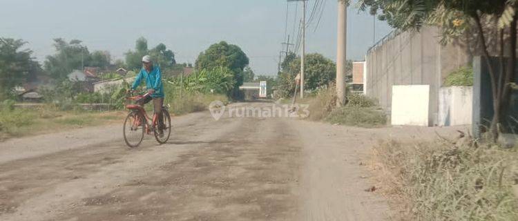 Dijual Lahan Tanah Industri Wringin Anom Wringinanom Gresik untuk Pabrik 1