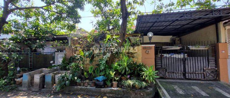 Rumah Sudah Renov Pondok Candra Waru 1