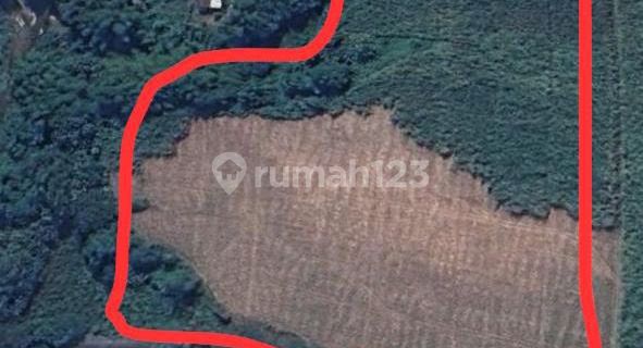 Dijual Tanah SHM 5 Hektar di Kawasan Industri Mojokerto Kabupaten 1