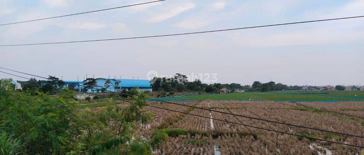 Dijual Tanah Sawah di Pinggir Jalan, Cocok Untuk Gudang 1