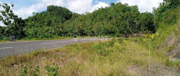 TANAH DEKAT PANTAI INDRAYANTI  1