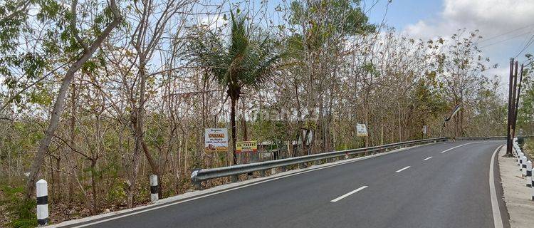 TANAH KOMERSIAL PINGGIR JALAN UTAMA 1