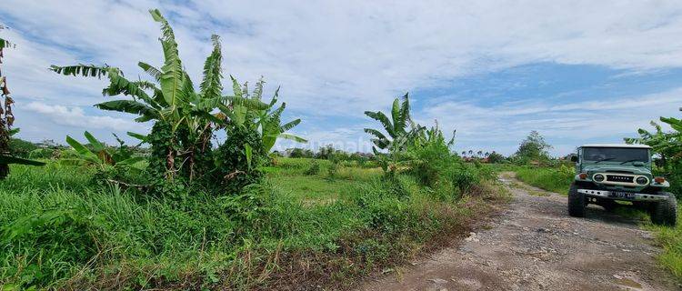 (D15) TANAH PANTAI SESEH 500 m KE PANTAI 1