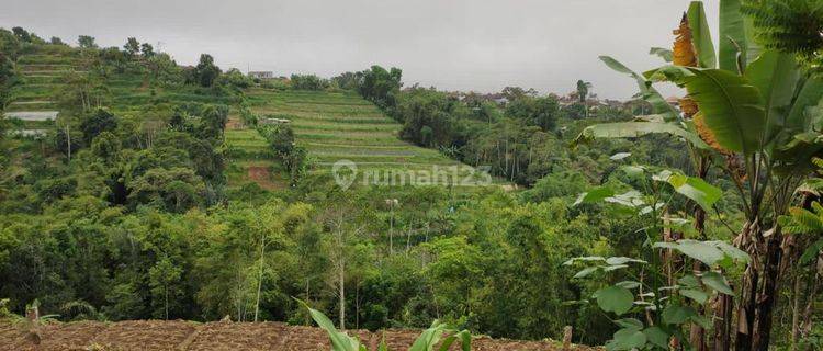 (G28)  TANAH BATURITI VIEW SUNGAI & SAWAH 1