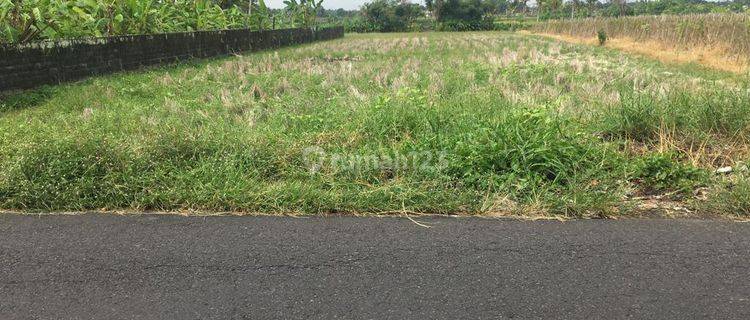 (G91) FREEHOLD LAND ONLY 4 MINUTES TO KELATING BEACH 1