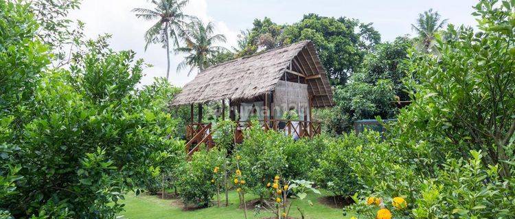 (AF) LUXURY VILLA WITH BIG GARDEN di Tumbak bayuh 1