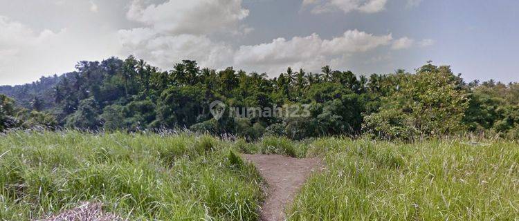 (gd)  TANAH UBUD CENTRAL BUKIT CAMPUHAN 1