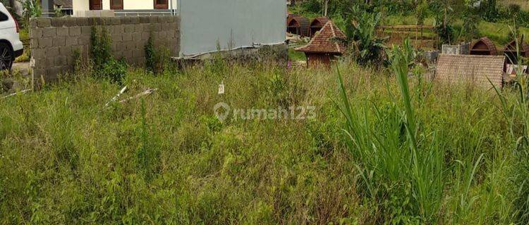 (gd) BERATA LAKE VIEW LAND. IN BEDUGUL BATURITI 1