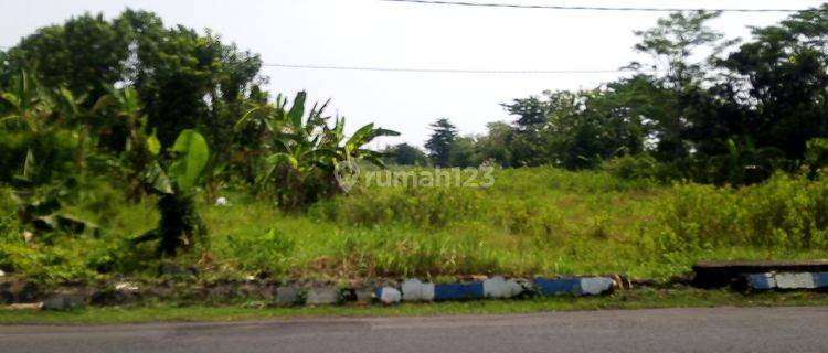 Tanah Dijual SHM di Jalan Sunan Ampel 5664 m² 1