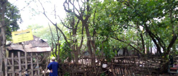 Tanah Dijual 910 m² SHM dekat Jalan Raya Bokir murah 1