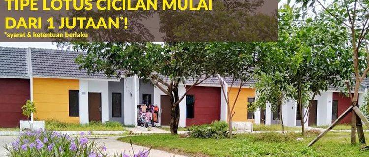 Rumah Baru SHM di Jl. Boulevard Permata Mutiara
maja, Lebak, Banten 42381, Lebak 1