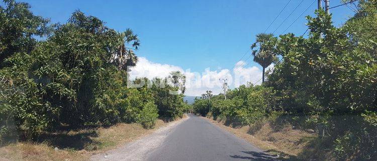 TANAH PERKEBUNAN DI KARANGASEM BALI 1