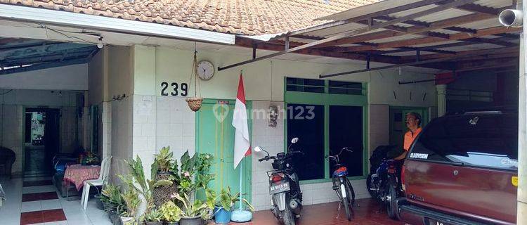 Rumah Klasik Ditengah Kota Solo 1