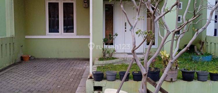 Rumah Murah Di Pinus Regency Soekarno Hatta Bandung Di Bawah Njop 1