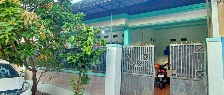 Langka Bgt Tenggilis Mejoyo 1man Nego Rmh Semi Minimalis Siap Huni Row Jln 2,5mbl Hdp Timur 1