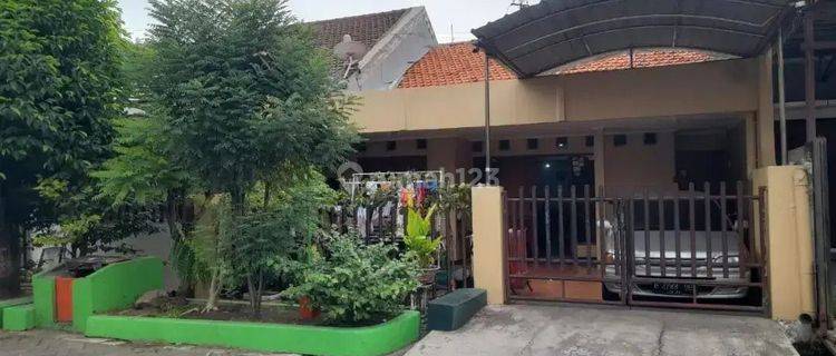 TENGGILIS SLANGKAH UBAYA rmh 1,5LT TRAWAT SIAP HUNI BERSIH ROW 2,5MBL BEBAS BANJIR 1