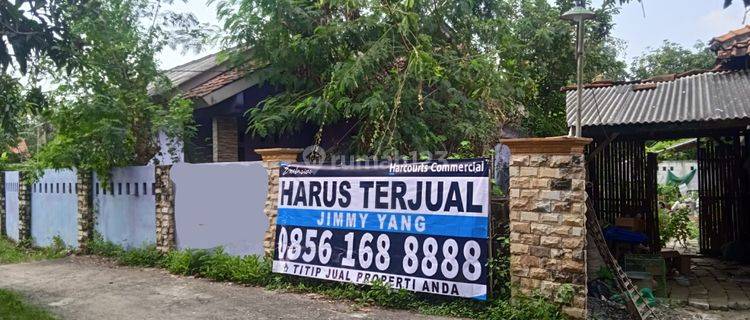 Rumah Tua Murah Hitung Tanah di Desa Sukatenang, Bekasi 1