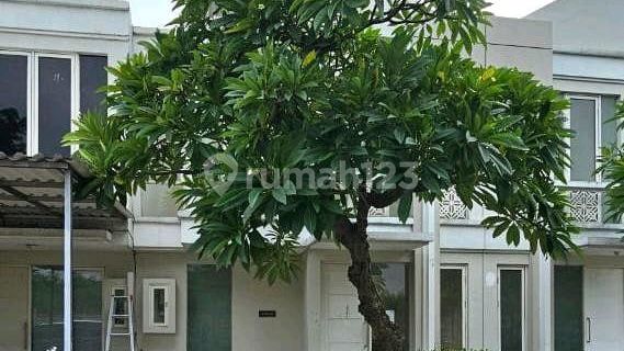 Lelang Grand Pakuwon Murah Dan 99% Pasti Menang Luas 6x12 Bagus 1