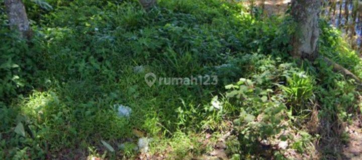 Tanah sunan Kalijaga berkoj purwokerto 1