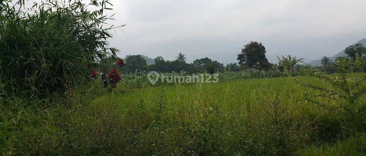 Tanah Kebun Murah di Jalan Arah Sukabumi Cianjur 1