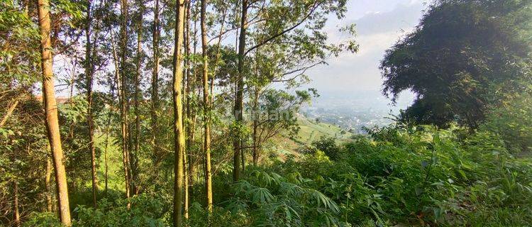 Tanah 2 Km Dari Resor Dago Pakar  1