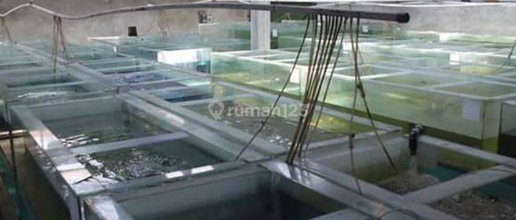 Rumah Fish Farm di Kopo Katapang 1