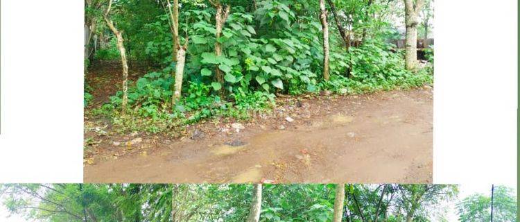 Tanah cocok untuk Gudang di Kadu Curug Tangerang 1