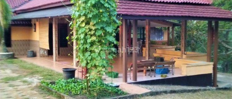 Villa Furnished Berikut Kebon Produktif Cinangka 1