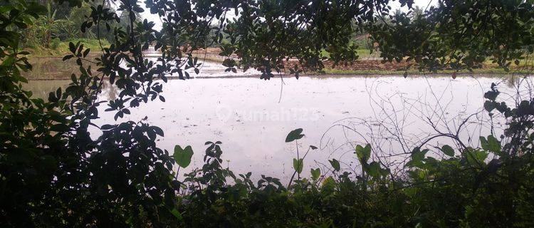 Tanah Harga Miring Baros Serang 1
