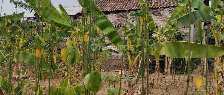 Tanah Belakang Kampus Unsera Akses Tol 1