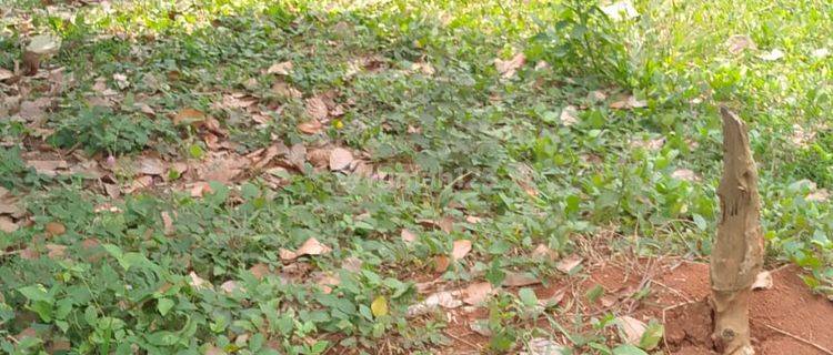 Tanah Curug Serang Nego Sampai Deal 1