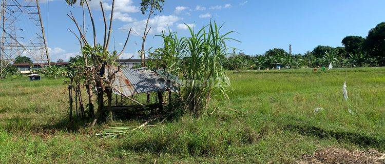 Lahan 9 Hektar Merak Dekat Pelabuhan, Tol, Rs Cocok Untuk Perumahan Atau Pabrik 1