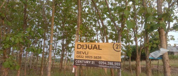 Tanah Cikerai Depan Waras Farm Nego Sampai Deal 1